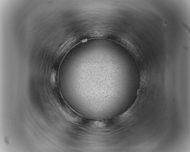 X0000101190166200807071323