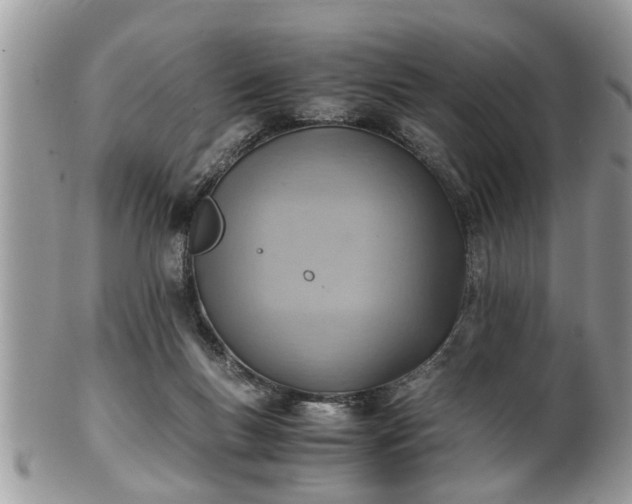 X0000101190167200807071323