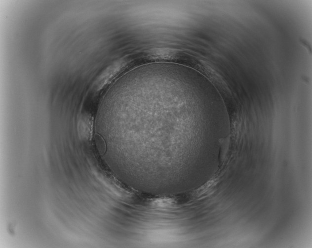 X0000101190168200807071323
