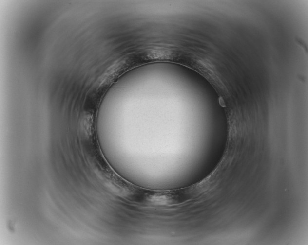 X0000101190171200807071323