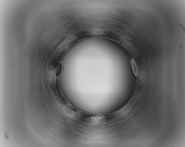 X0000101190172200807071323