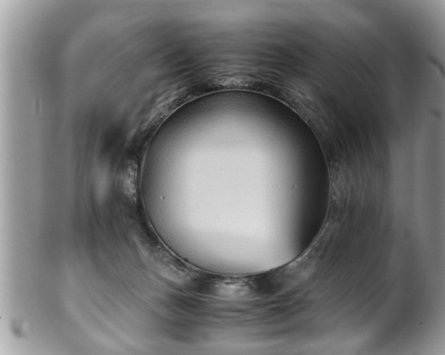 X0000101190175200807071323