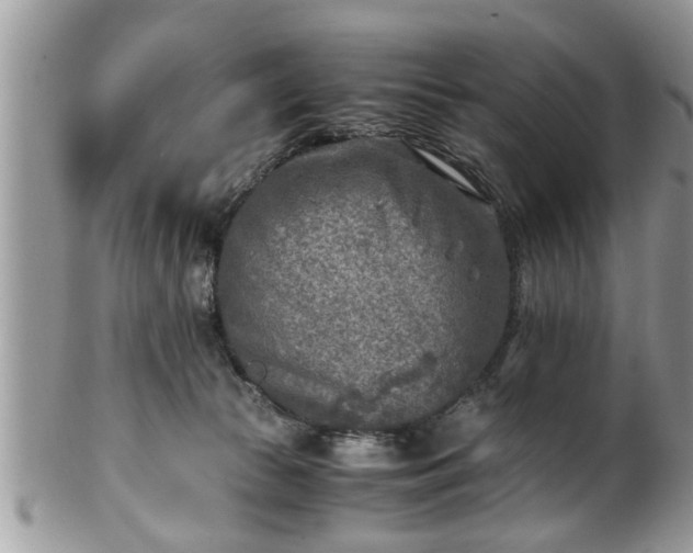X0000101190177200807071323