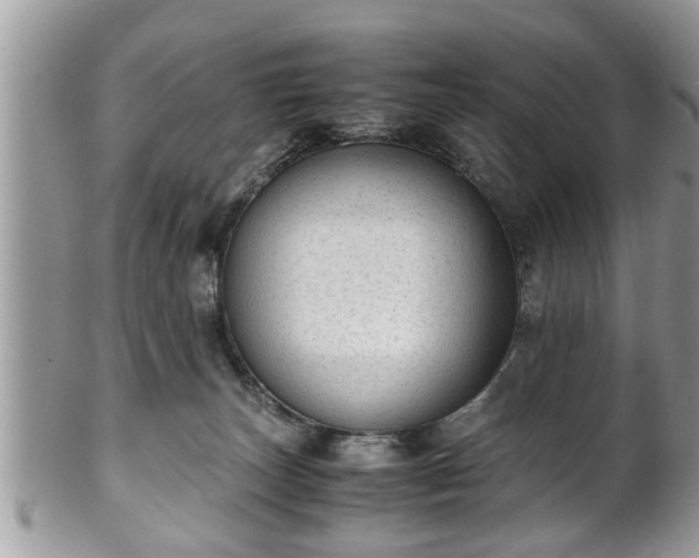 X0000101190179200807071323