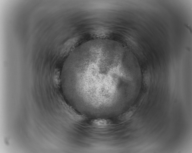 X0000101190181200807071323