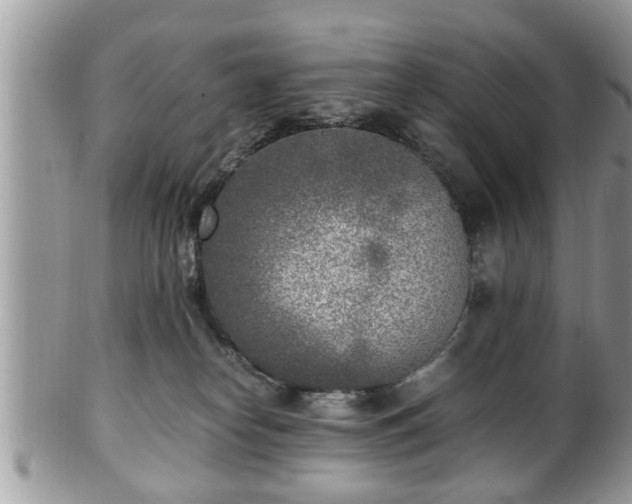 X0000101190182200807071323
