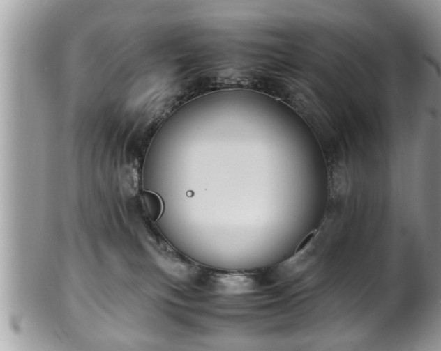 X0000101190183200807071323