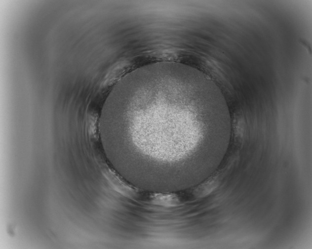 X0000101190185200807071323