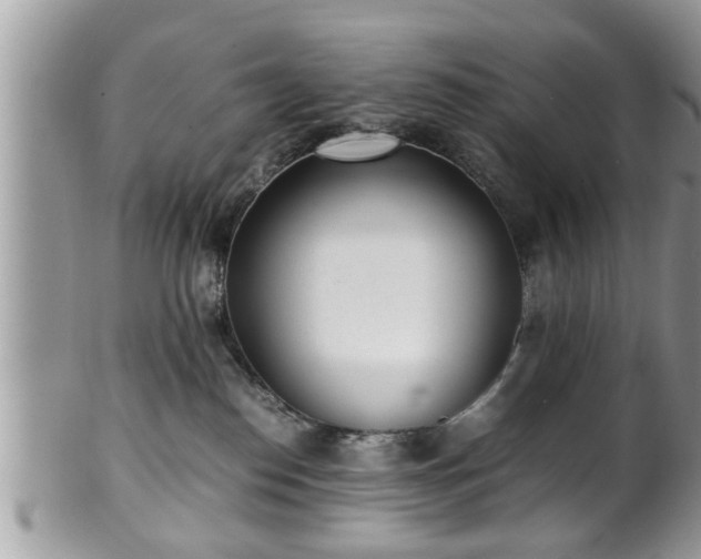 X0000101190186200807071323