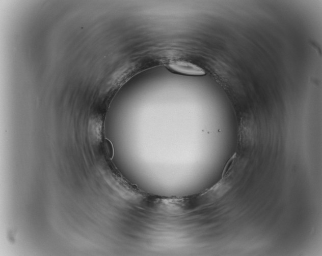 X0000101190188200807071323