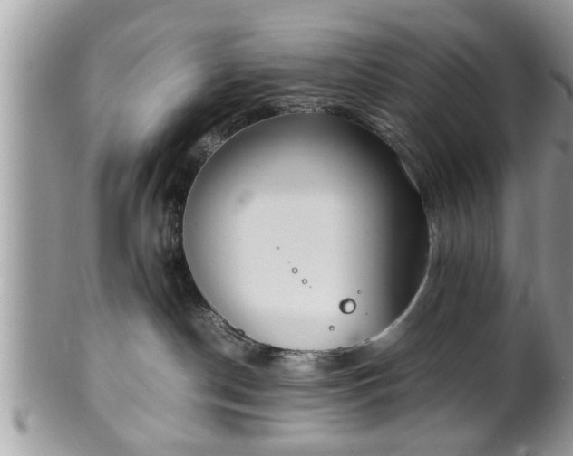 X0000101190190200807071323