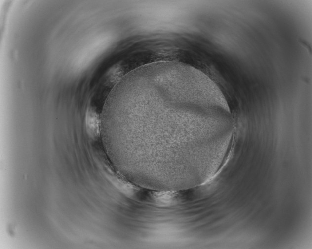 X0000101190191200807071323