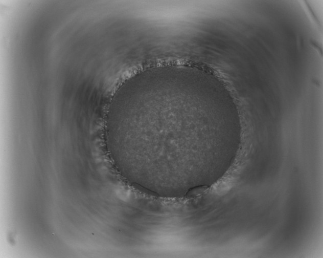 X0000101190192200807071323