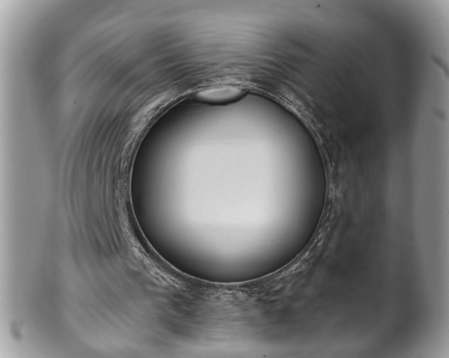 X0000101190193200807071323