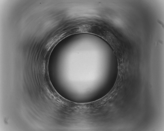 X0000101190194200807071323