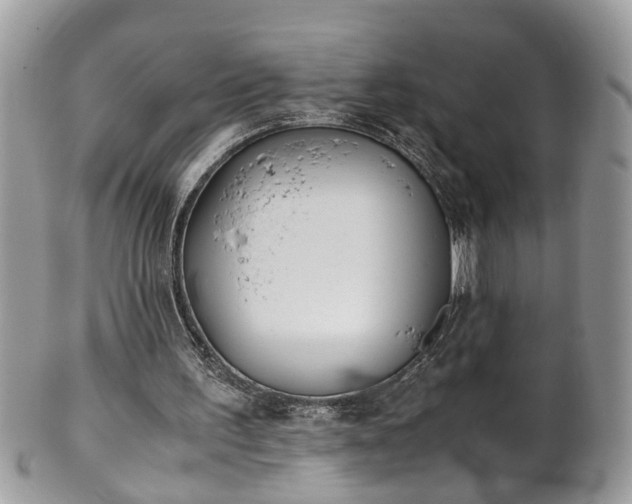 X0000101190195200807071323