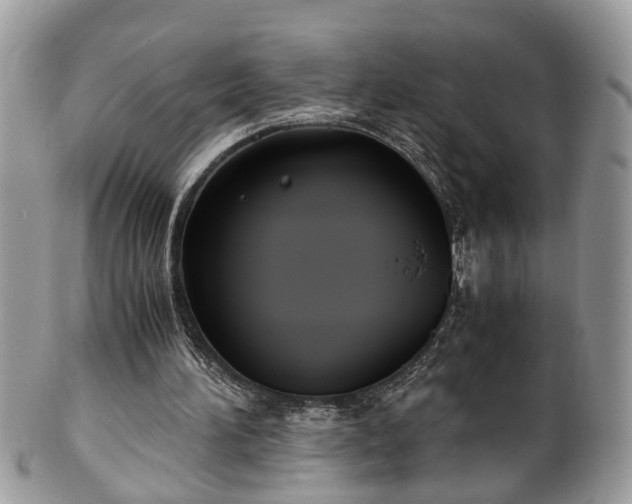 X0000101190196200807071323
