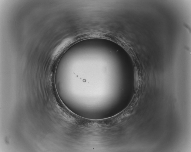 X0000101190197200807071323