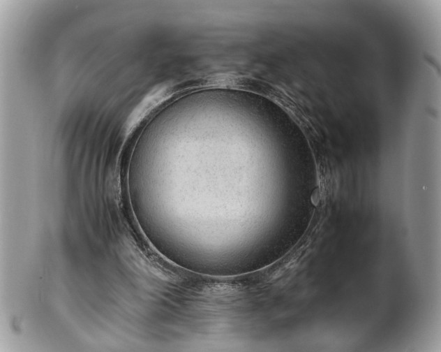X0000101190198200807071323