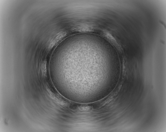 X0000101190202200807071323
