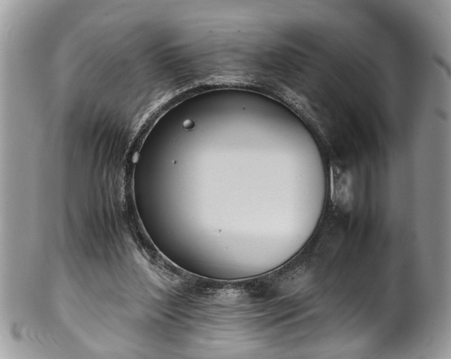 X0000101190204200807071323