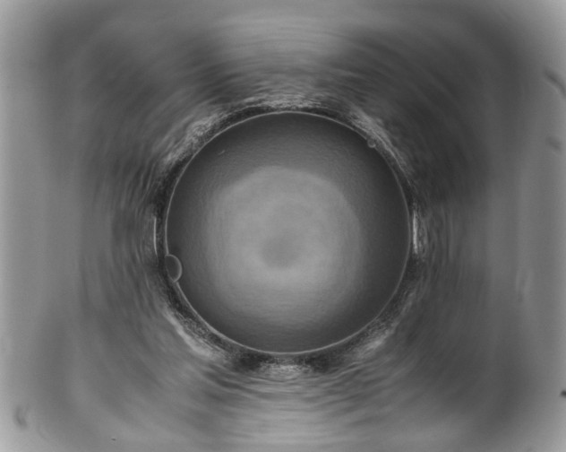 X0000101190205200807071323