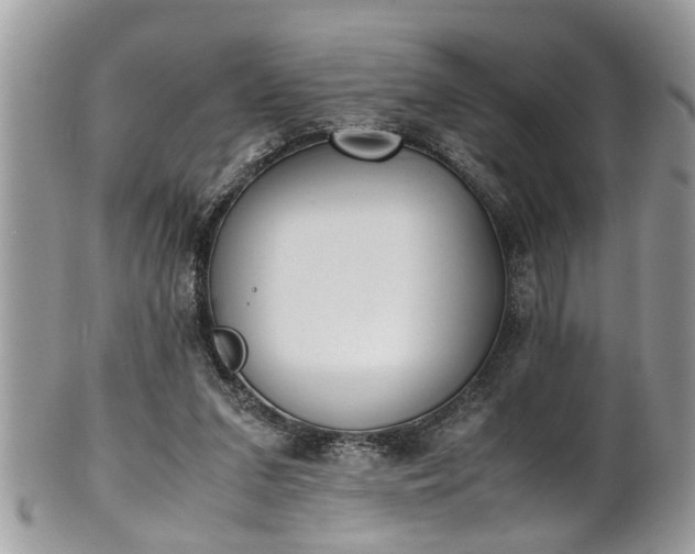 X0000101190207200807071322