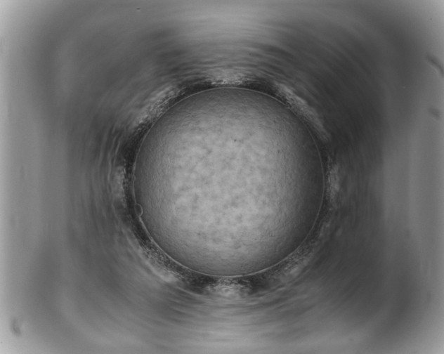 X0000101190209200807071322