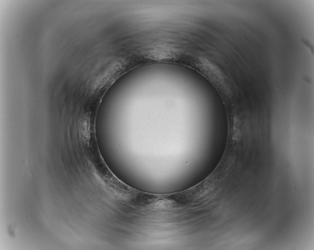 X0000101190210200807071322