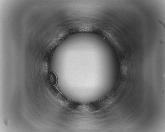 X0000101190211200807071322