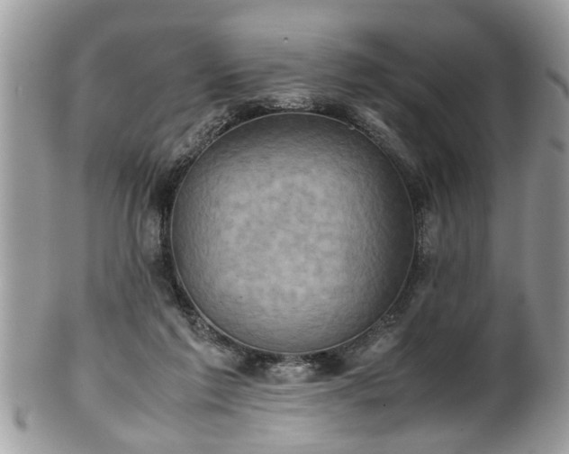 X0000101190213200807071322
