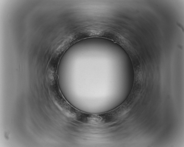X0000101190215200807071322