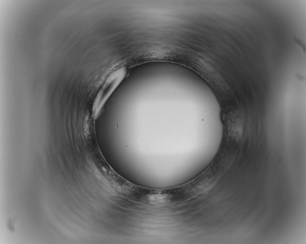 X0000101190216200807071322