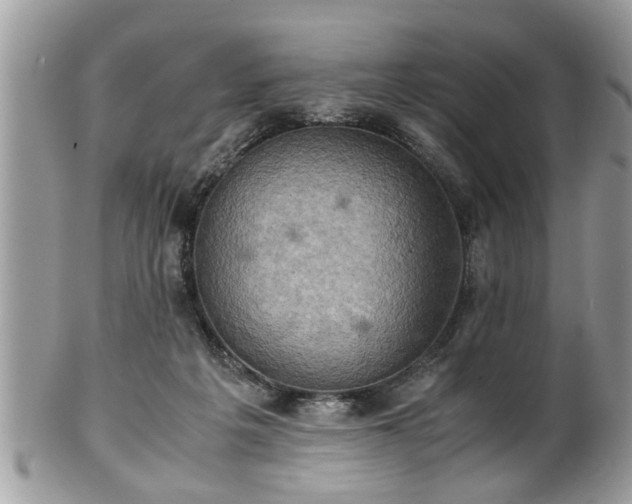 X0000101190217200807071322