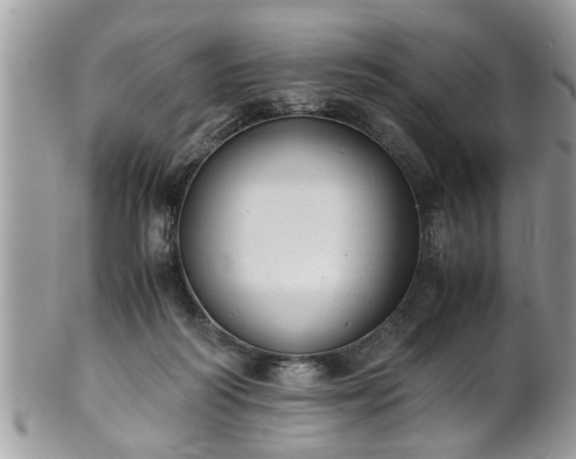 X0000101190218200807071322