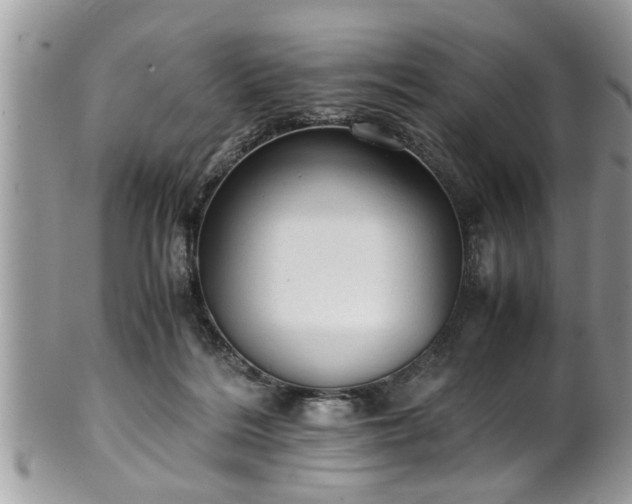 X0000101190220200807071322
