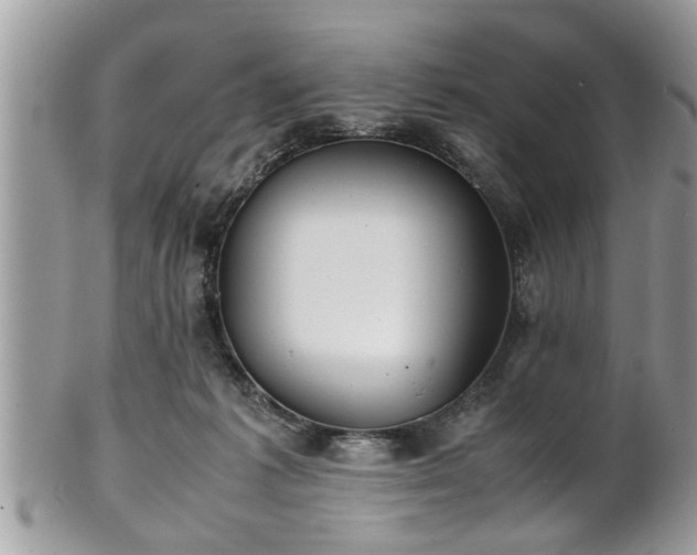 X0000101190221200807071322