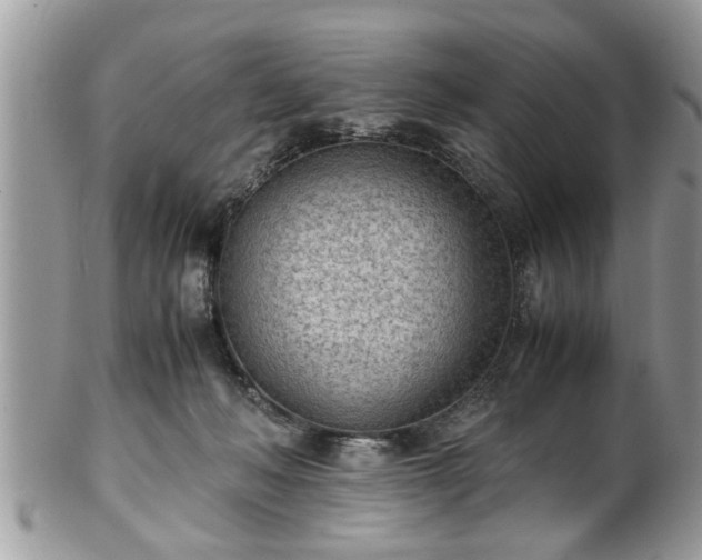 X0000101190222200807071322