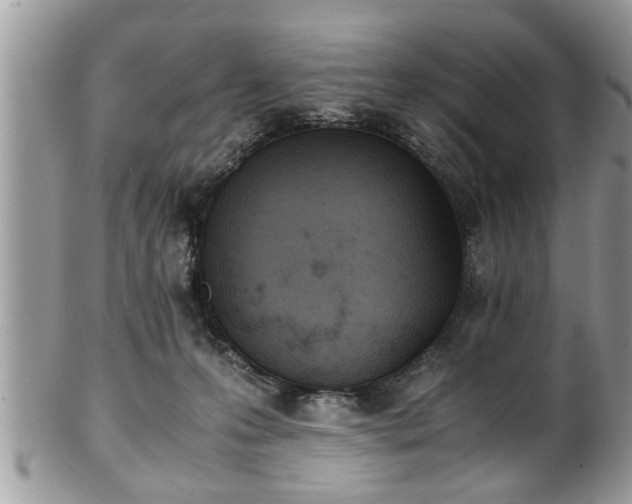 X0000101190223200807071322