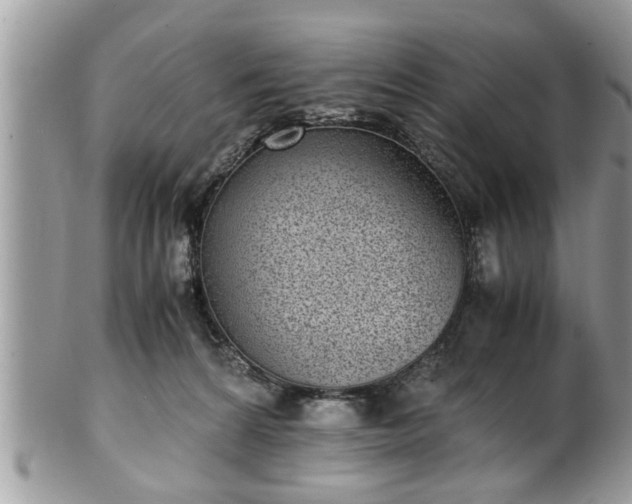 X0000101190224200807071322