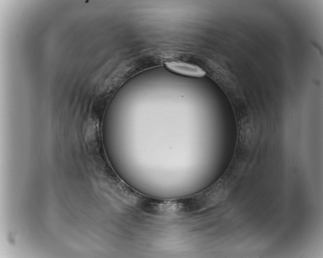 X0000101190225200807071322