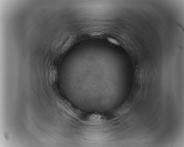X0000101190227200807071322
