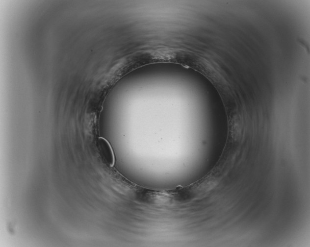 X0000101190229200807071322
