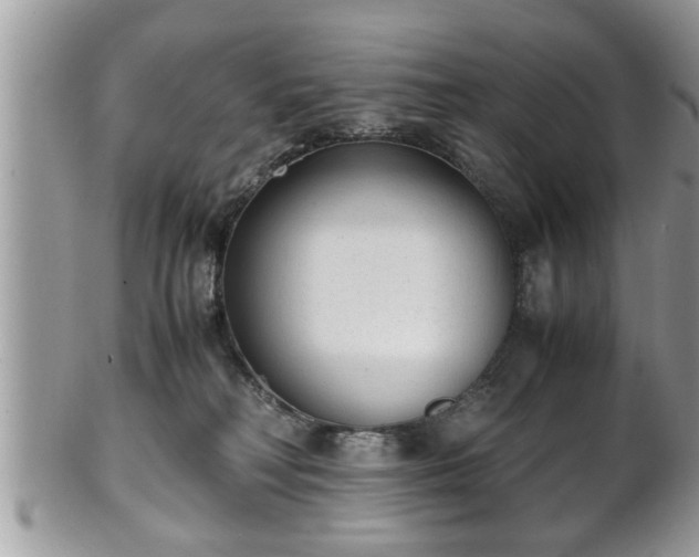 X0000101190230200807071322