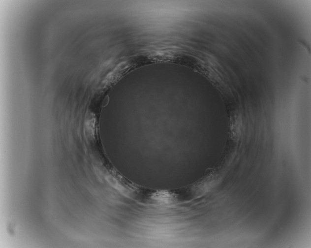 X0000101190231200807071322