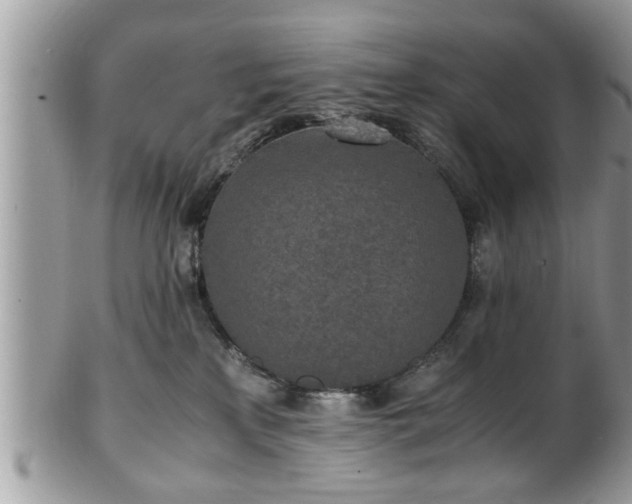 X0000101190233200807071322