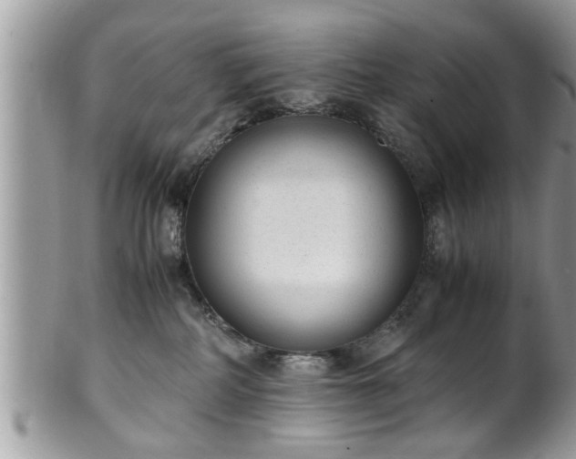 X0000101190234200807071322