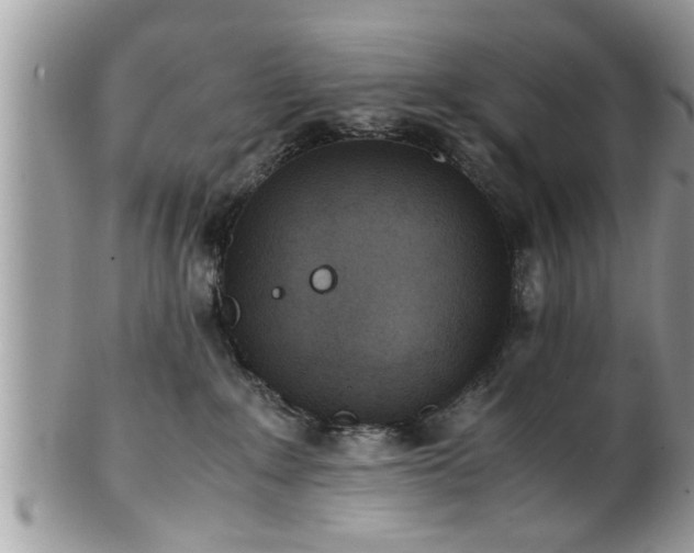 X0000101190235200807071322