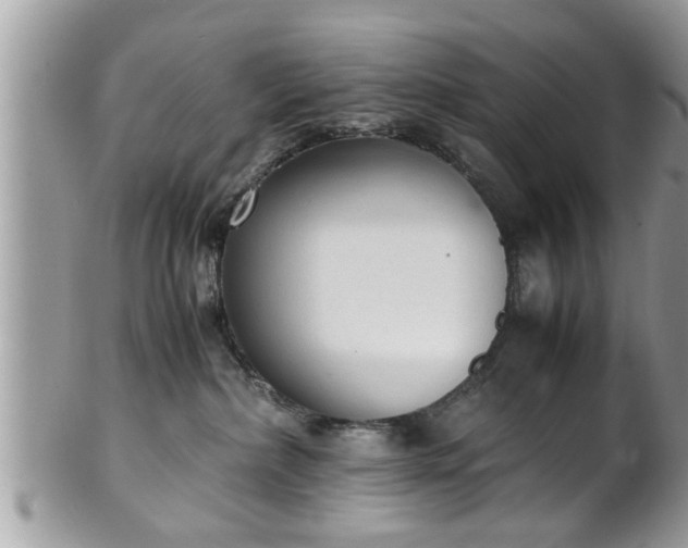 X0000101190236200807071322