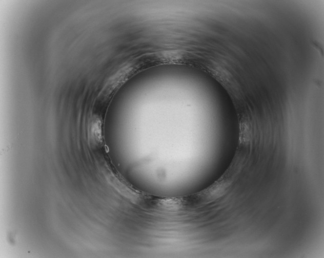 X0000101190238200807071322